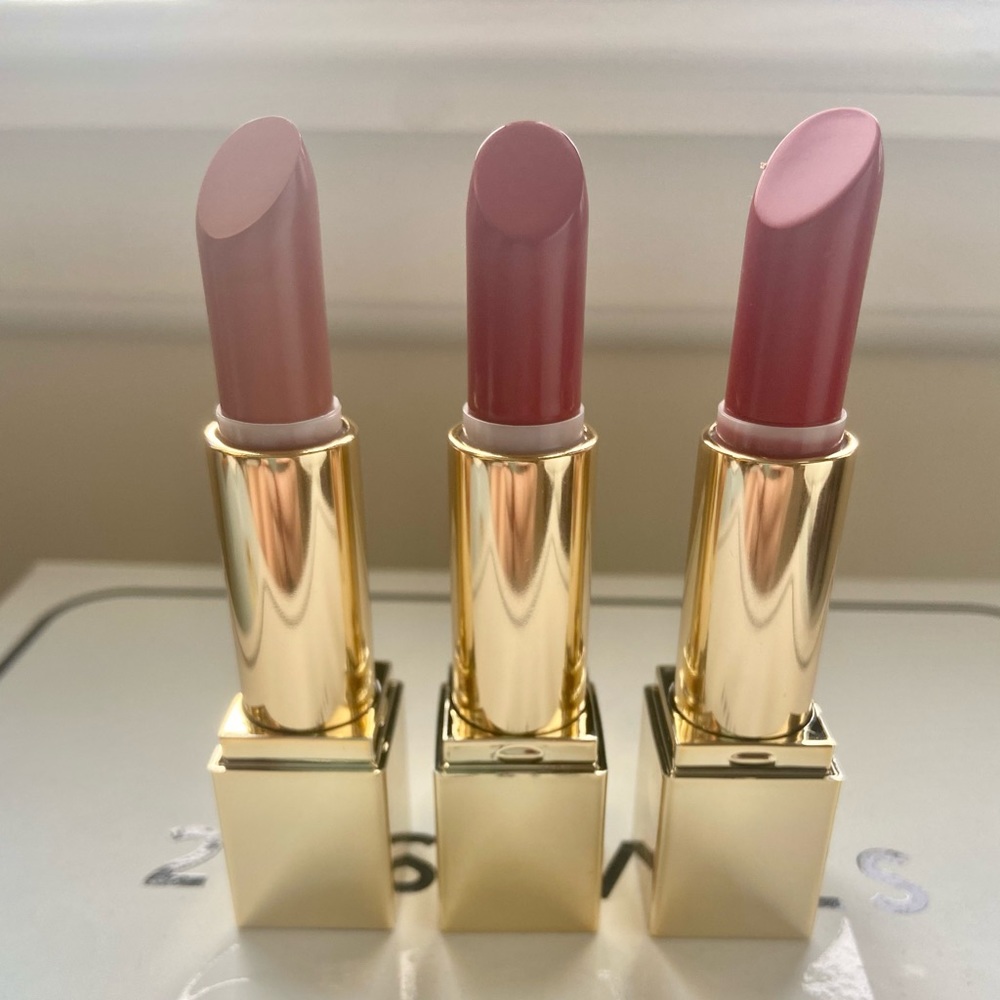 Estee Lauder Pure Color Envy Lipstick Mascara Set